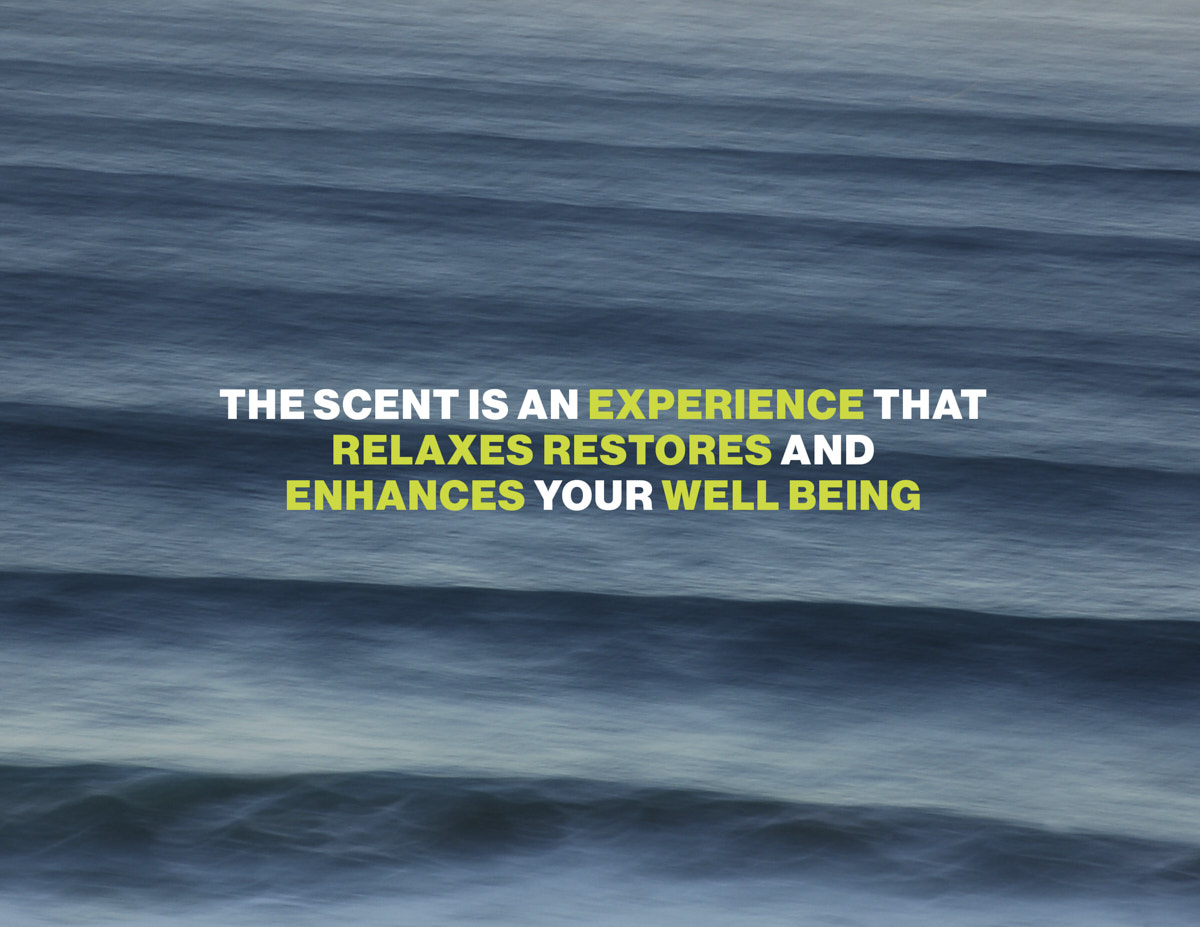 NL-BRANDBOOK-NORMALIFE-KW-202114