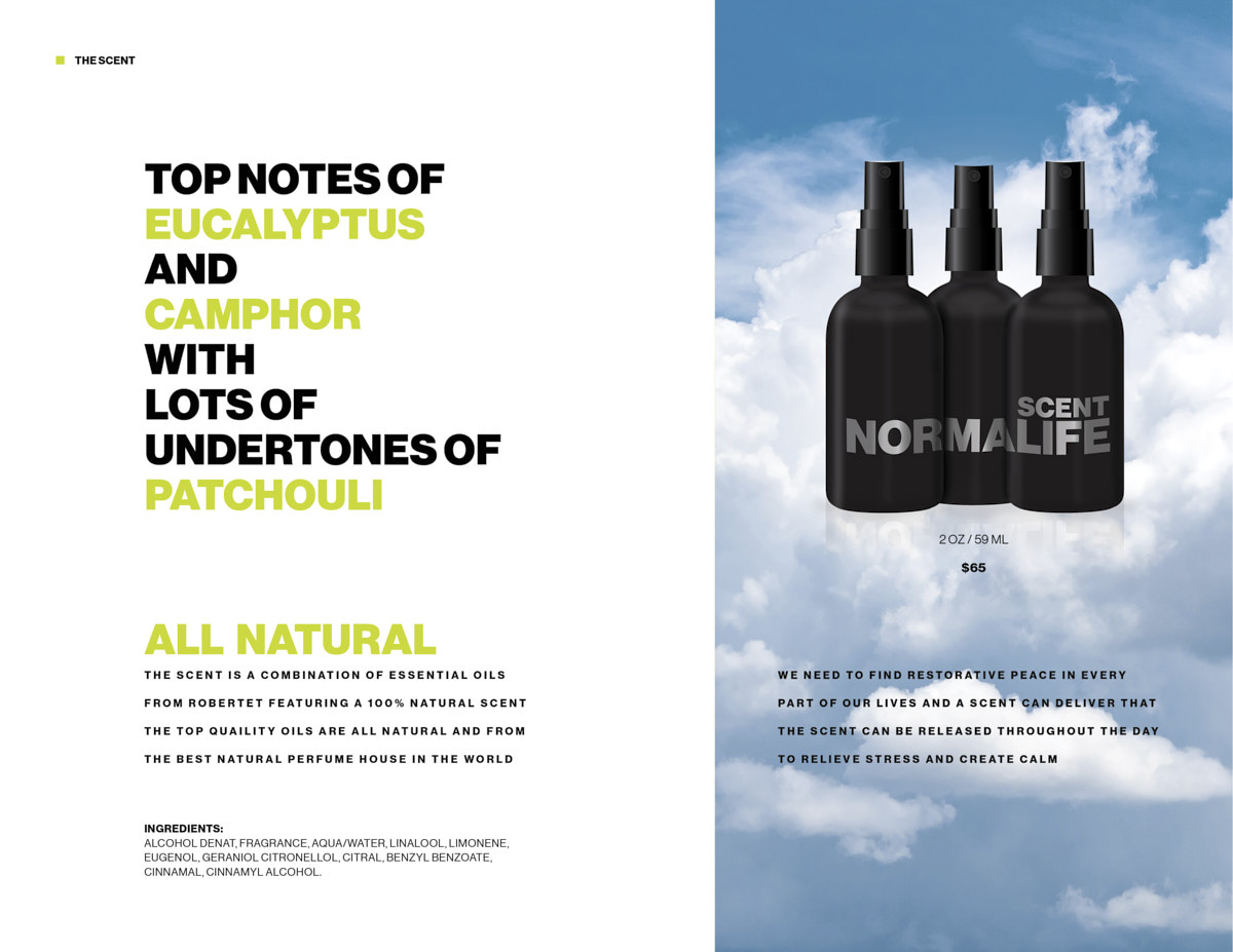 NL-BRANDBOOK-NORMALIFE-KW-202115